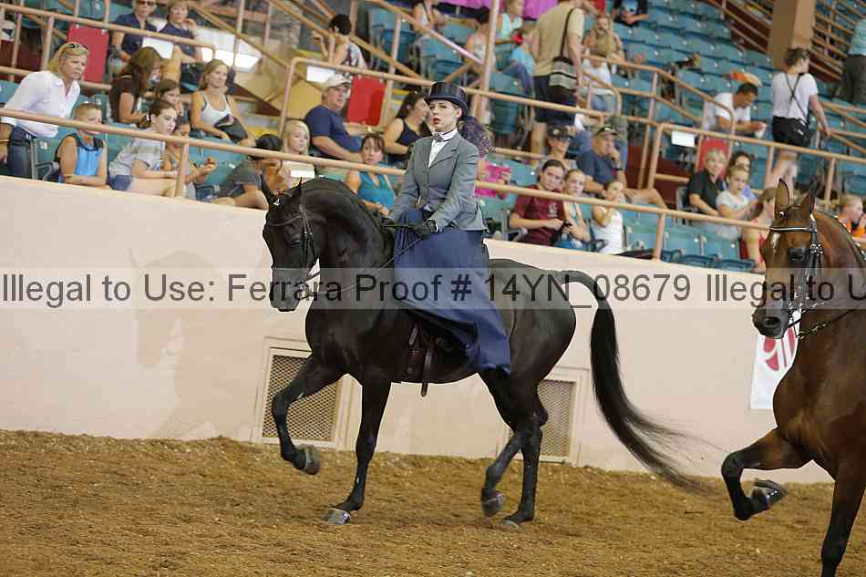 Proof 14yn_08679