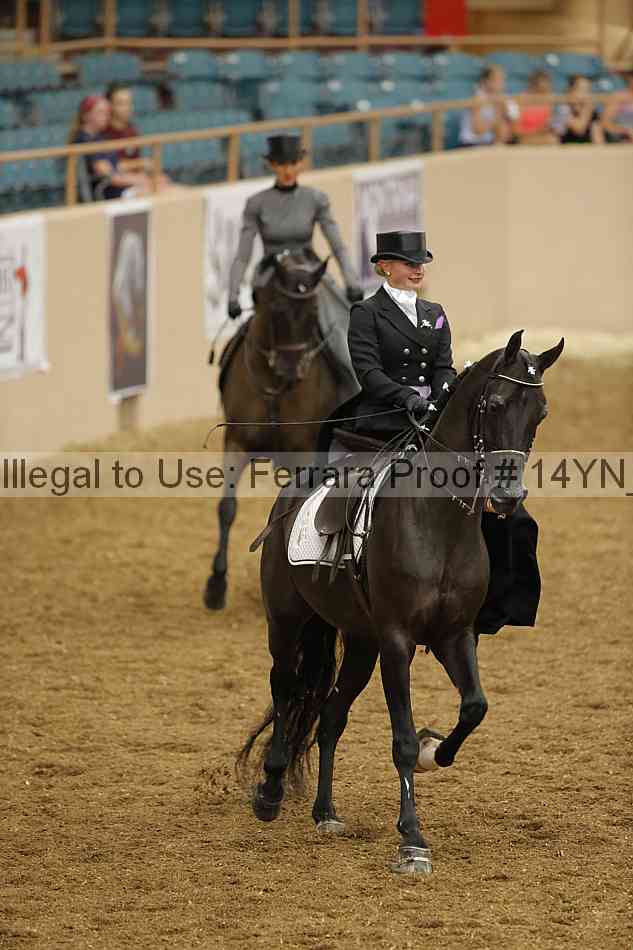 Proof 14yn_08680