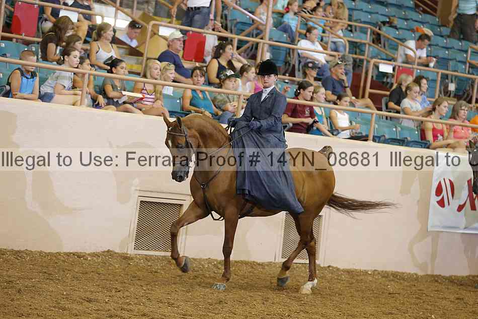 Proof 14yn_08681