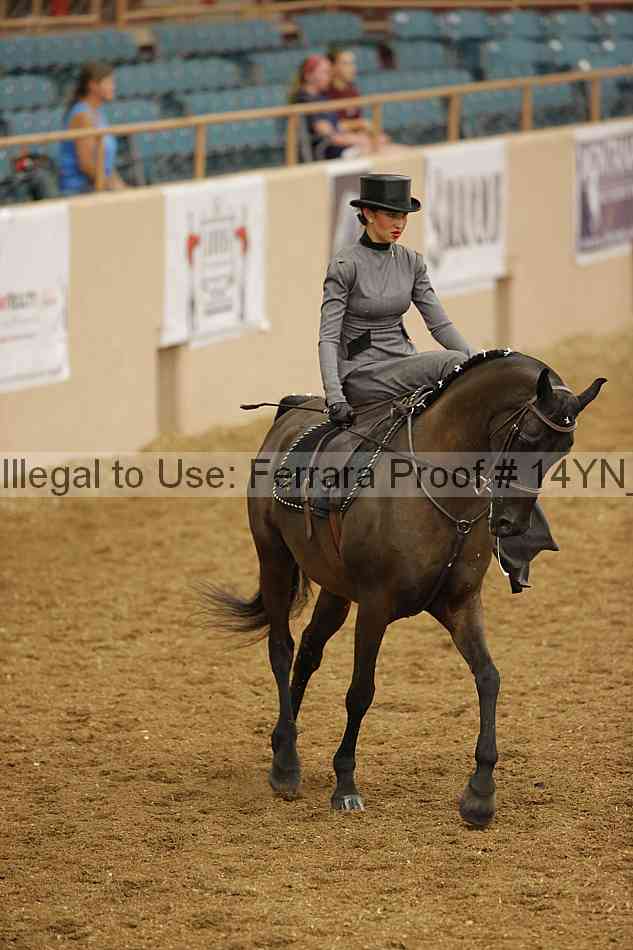 Proof 14yn_08683