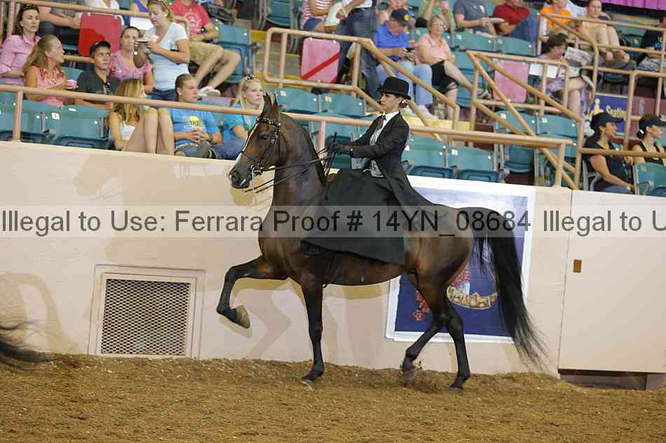 Proof 14yn_08684
