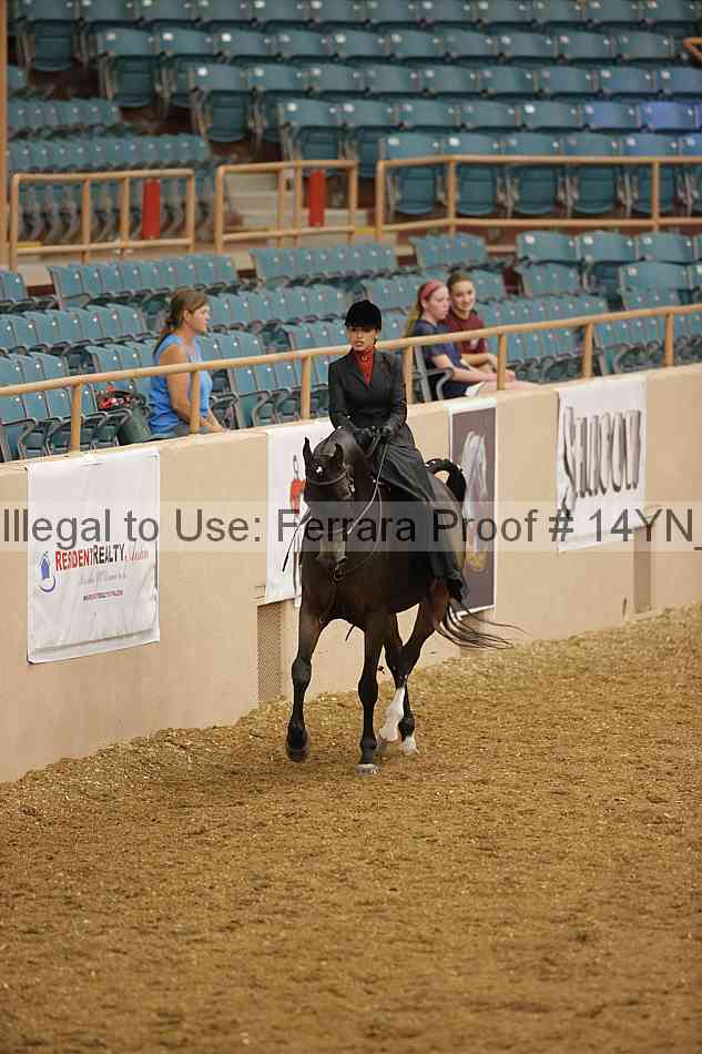 Proof 14yn_08685