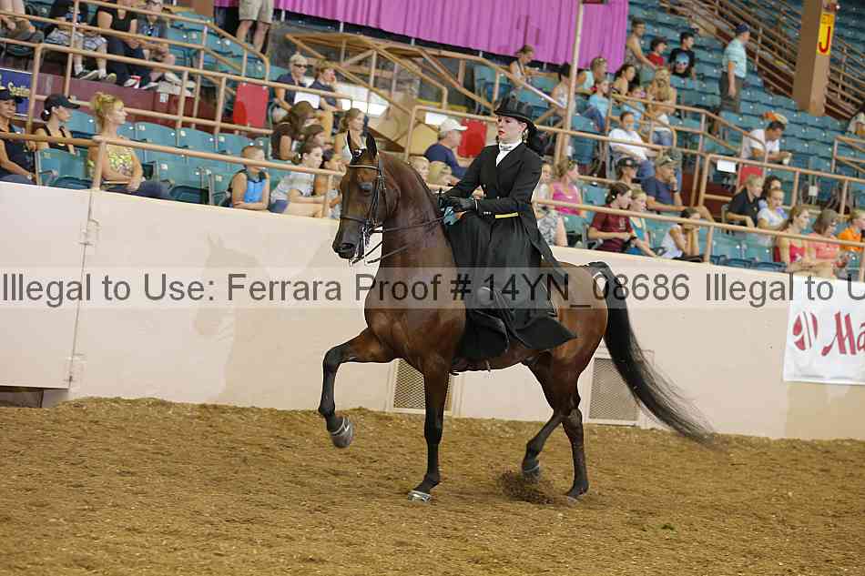 Proof 14yn_08686
