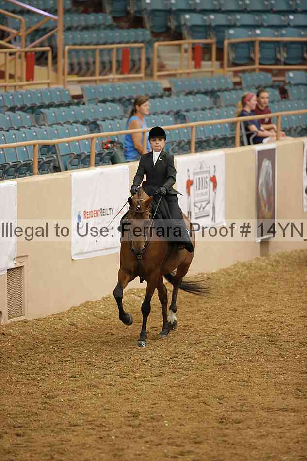 Proof 14yn_08687