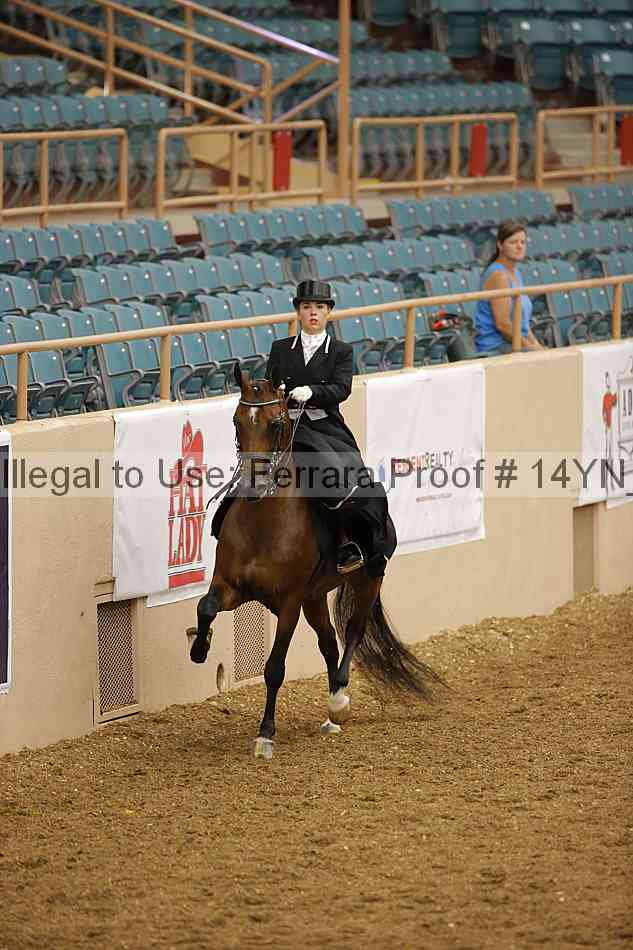 Proof 14yn_08689
