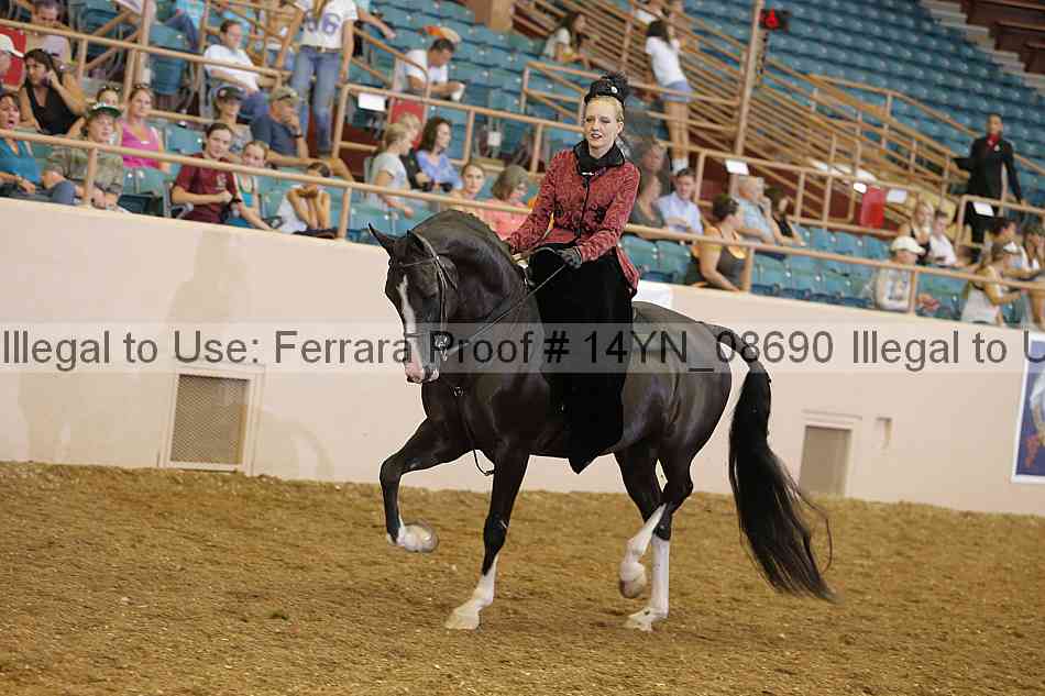 Proof 14yn_08690