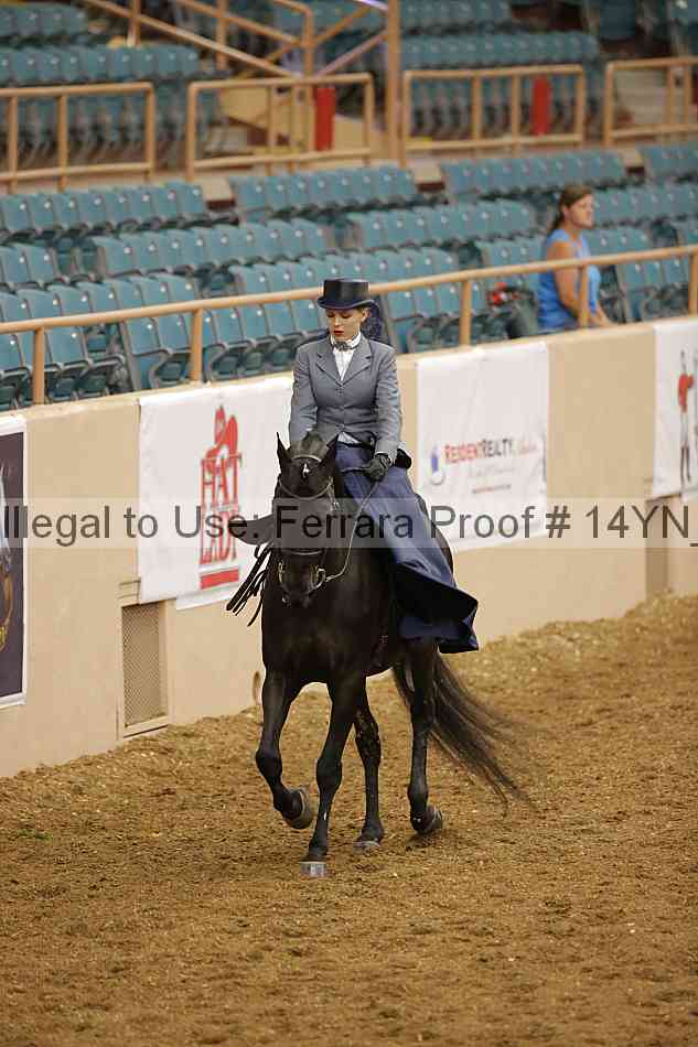 Proof 14yn_08691