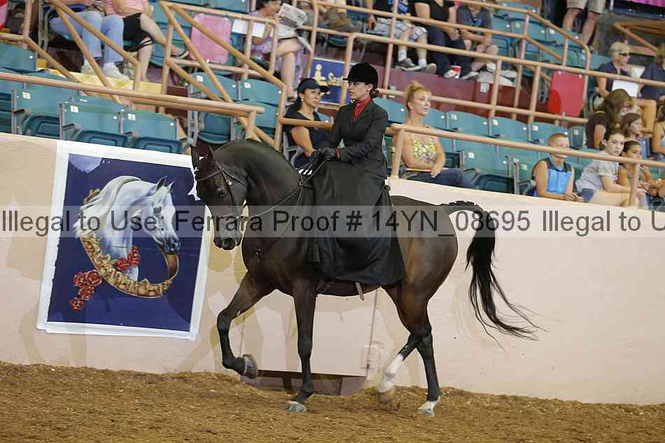 Proof 14yn_08695