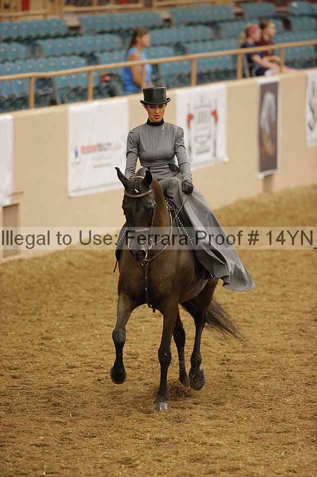 Proof 14yn_08696
