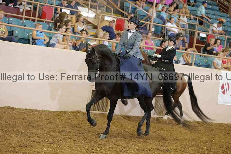 Proof 14yn_08697