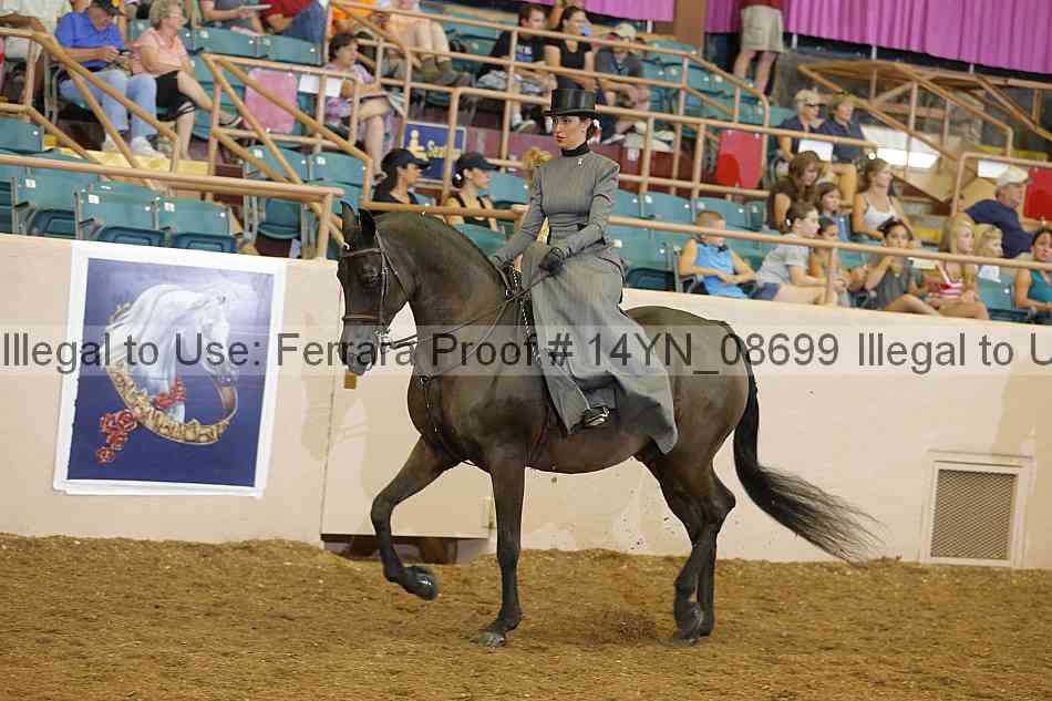 Proof 14yn_08699