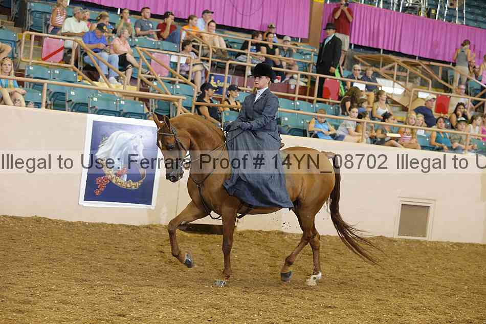 Proof 14yn_08702