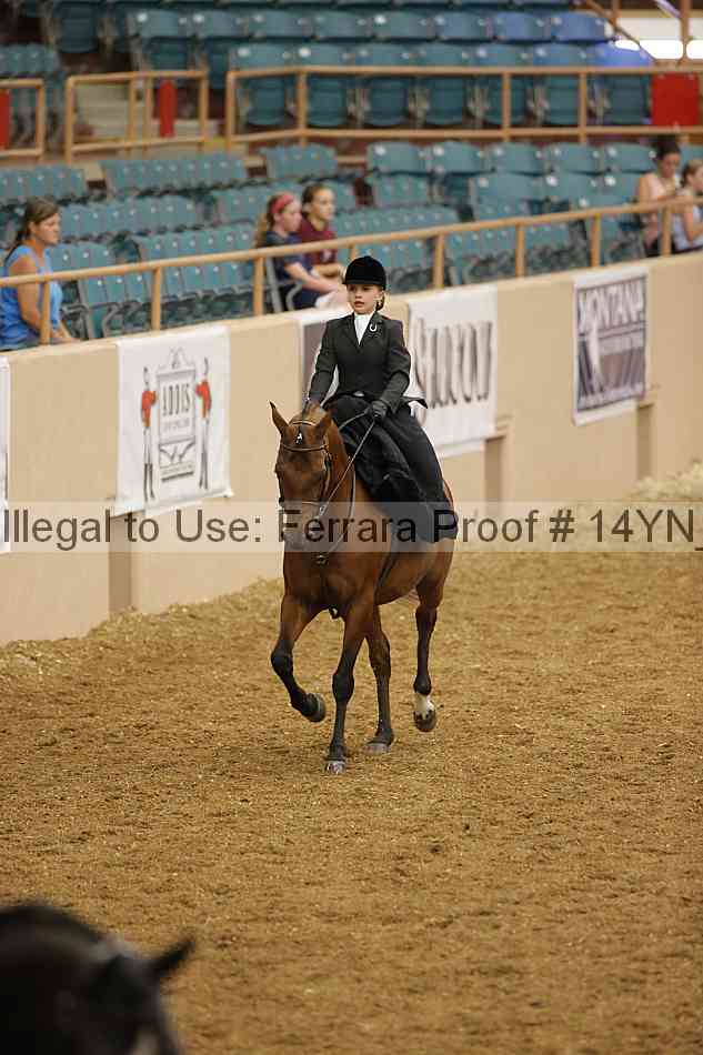 Proof 14yn_08703