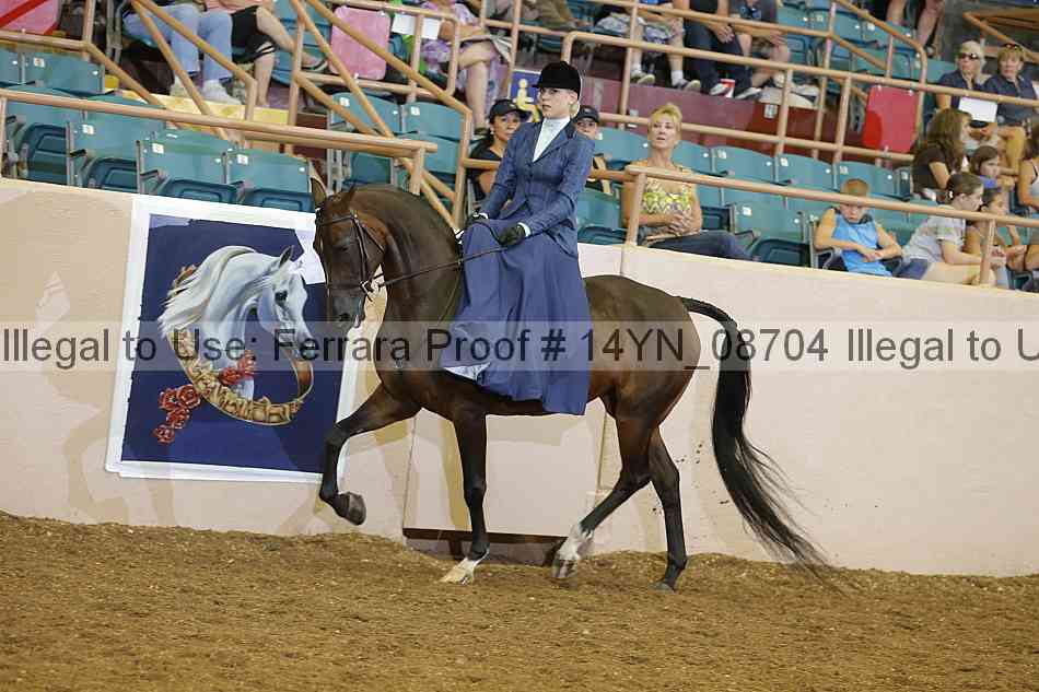 Proof 14yn_08704