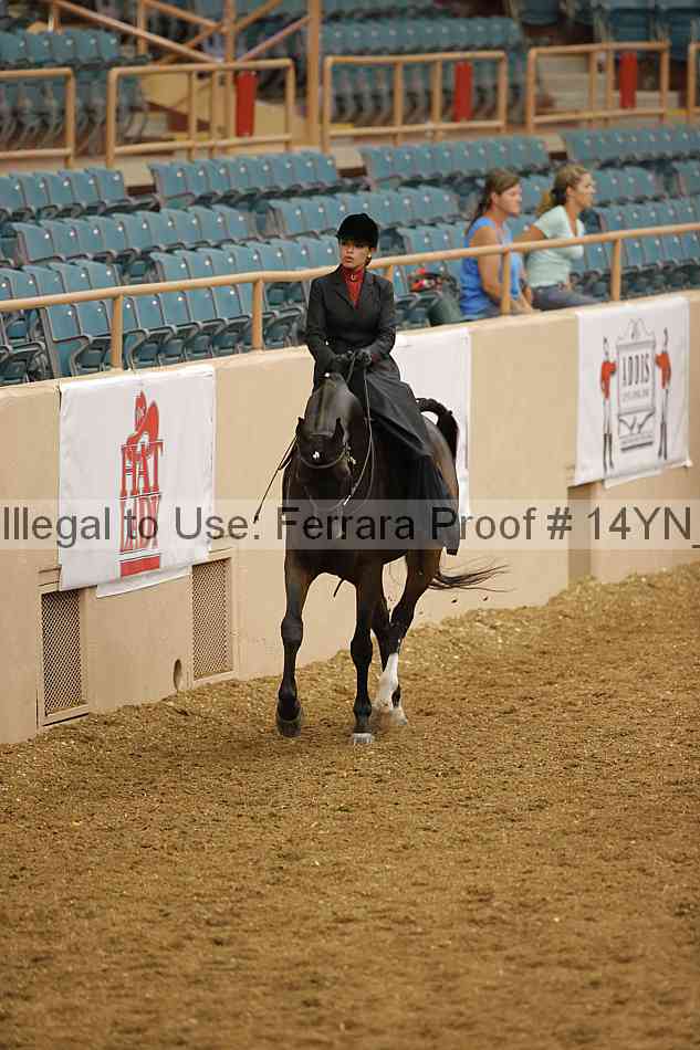 Proof 14yn_08705