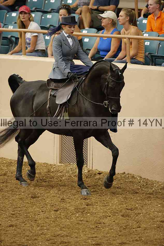 Proof 14yn_08706