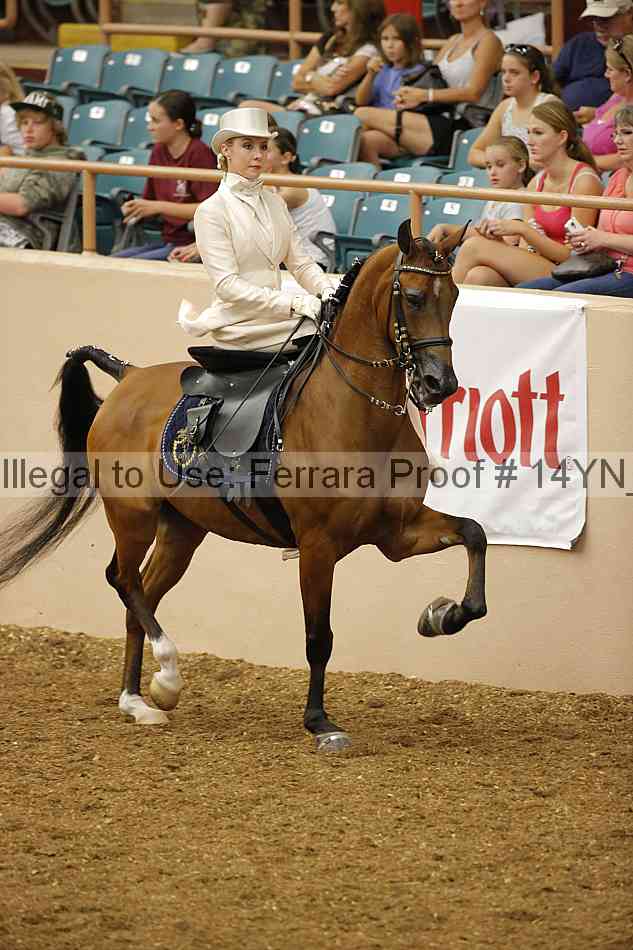 Proof 14yn_08707