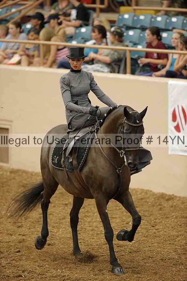 Proof 14yn_08708