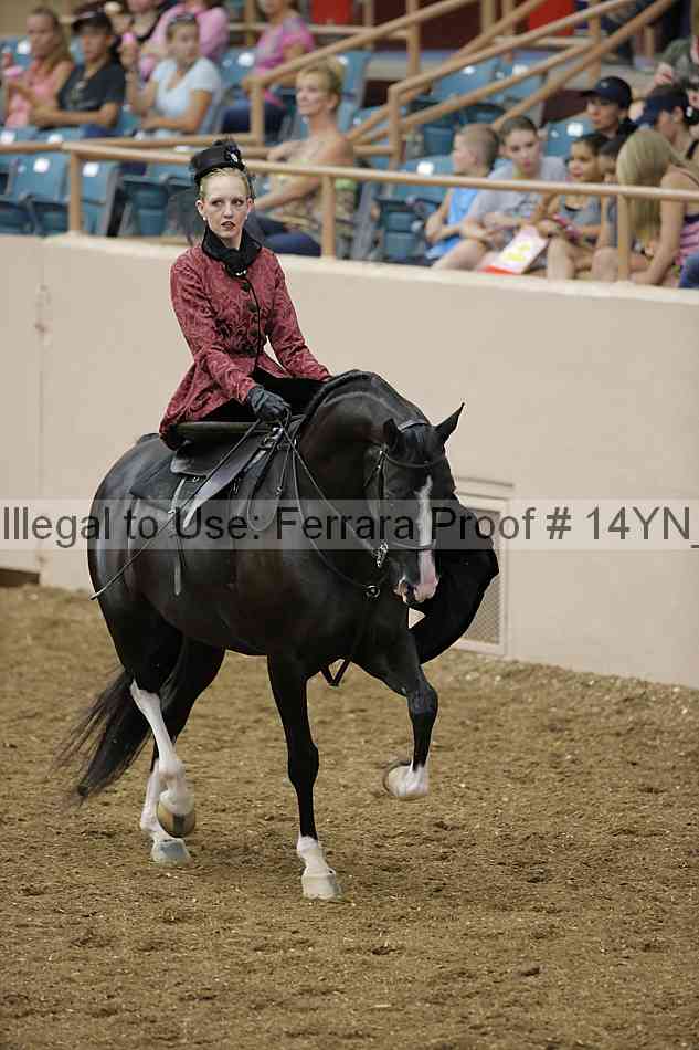 Proof 14yn_08709