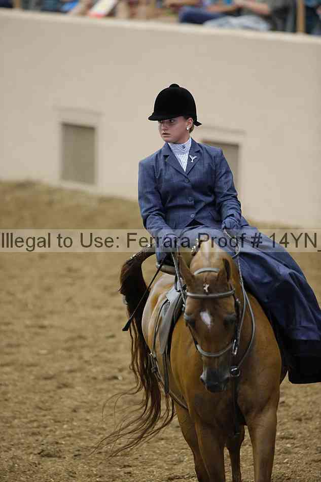 Proof 14yn_08712