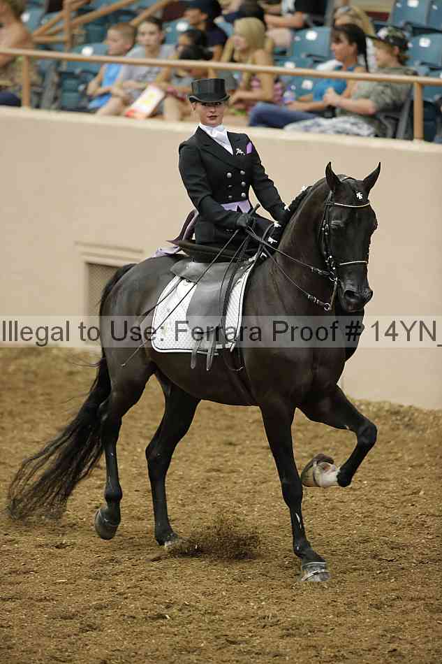 Proof 14yn_08713