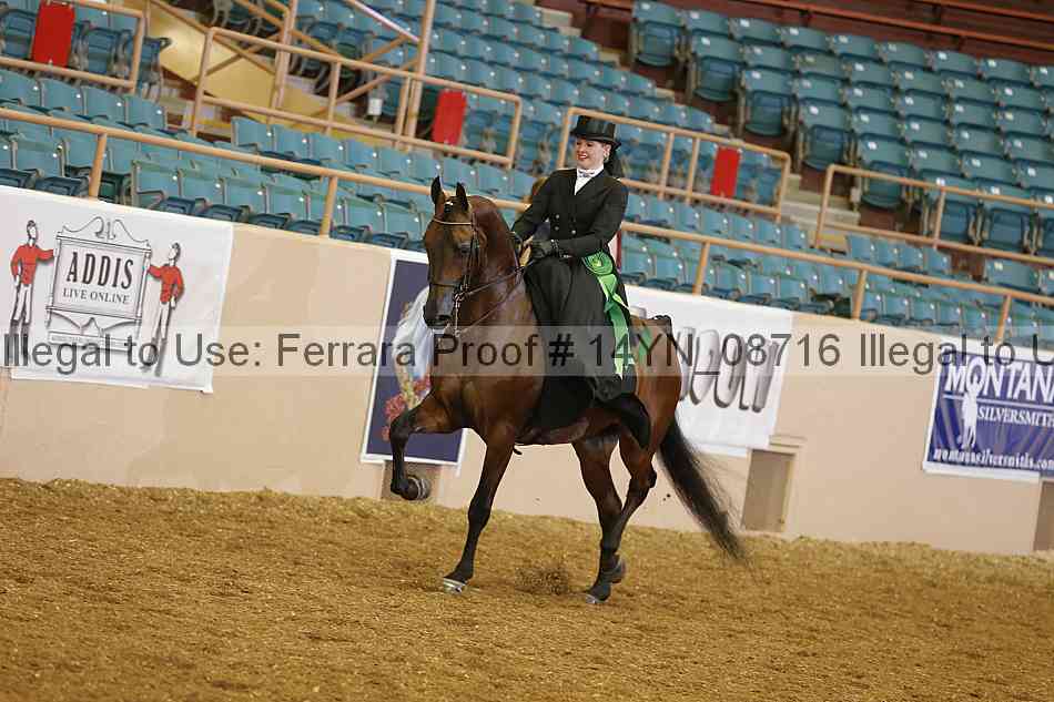 Proof 14yn_08716