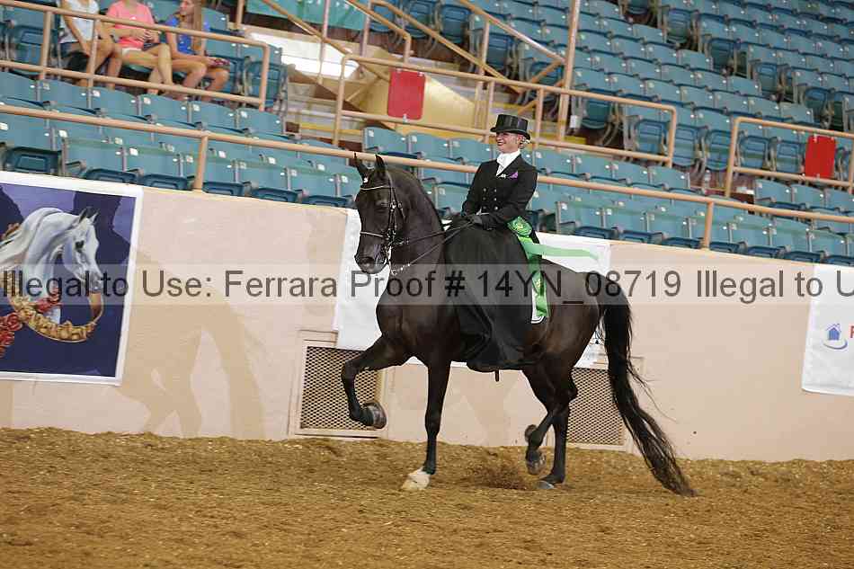 Proof 14yn_08719