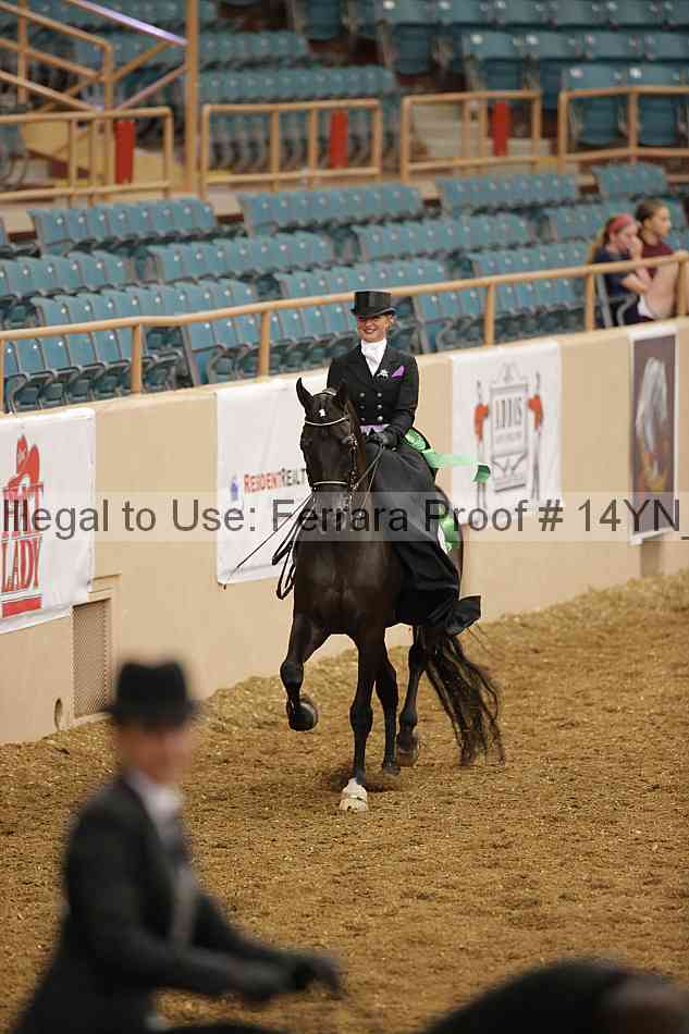 Proof 14yn_08721