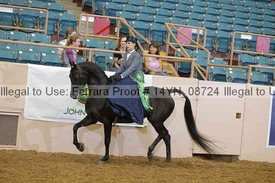 Proof 14yn_08724
