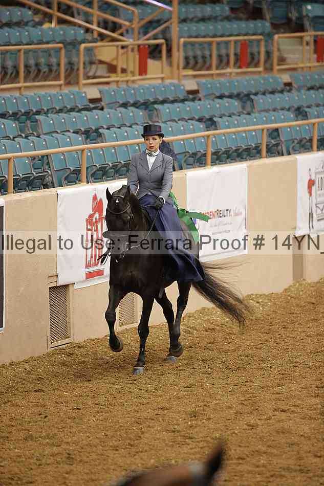 Proof 14yn_08725