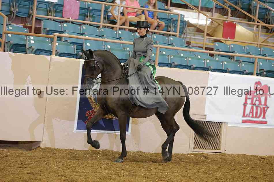 Proof 14yn_08727