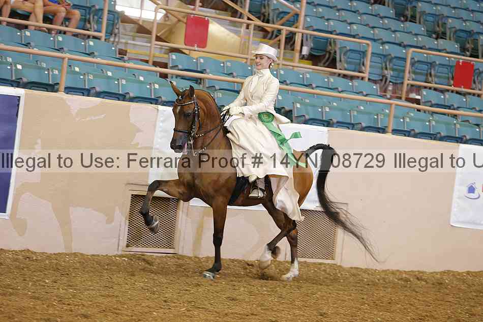 Proof 14yn_08729