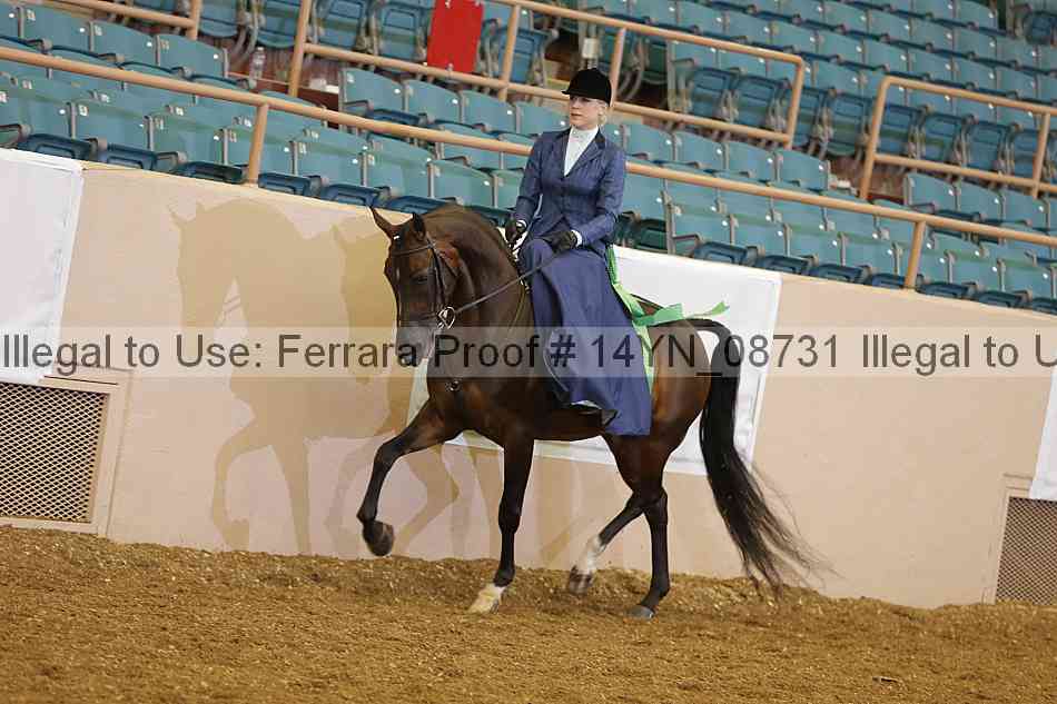 Proof 14yn_08731