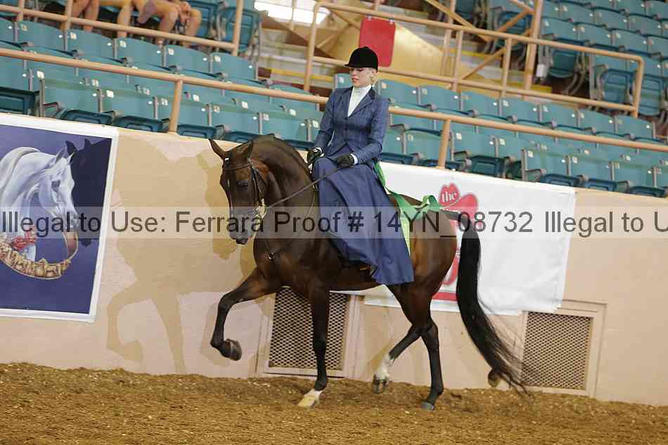 Proof 14yn_08732