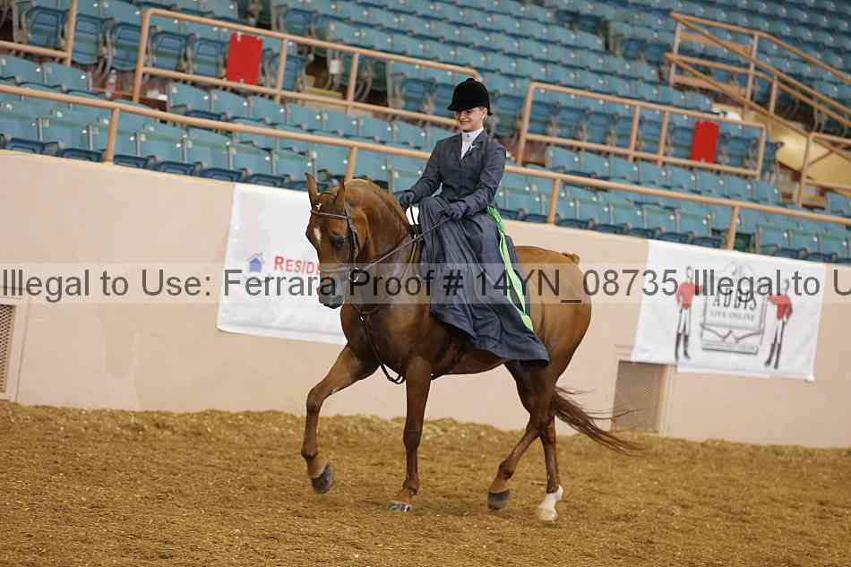 Proof 14yn_08735