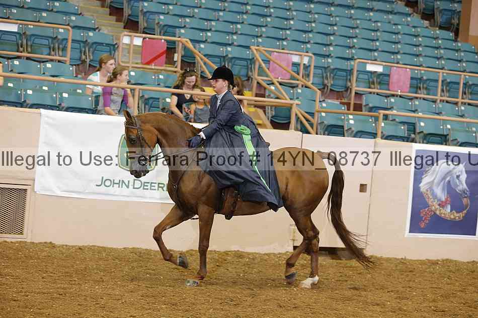 Proof 14yn_08737