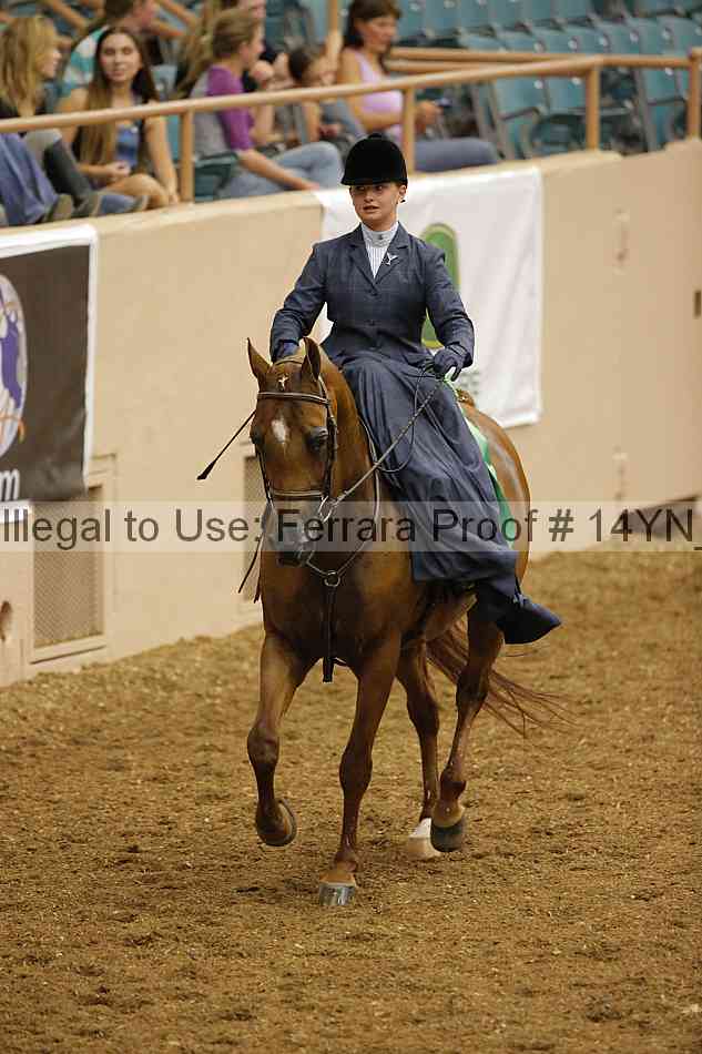 Proof 14yn_08738