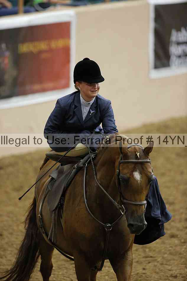 Proof 14yn_08739