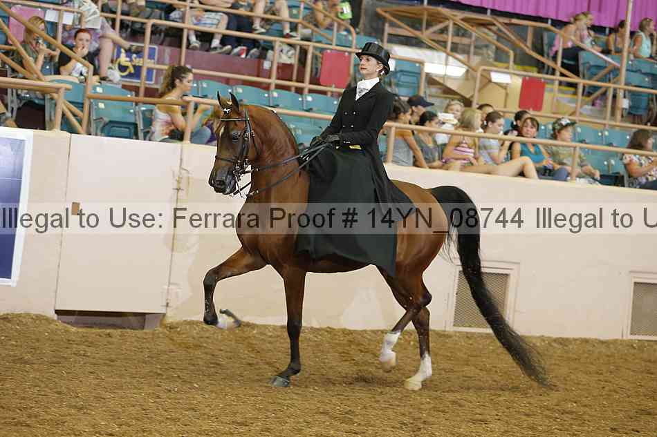 Proof 14yn_08744
