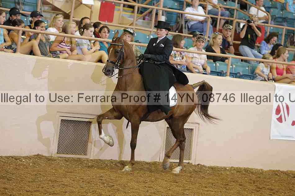 Proof 14yn_08746