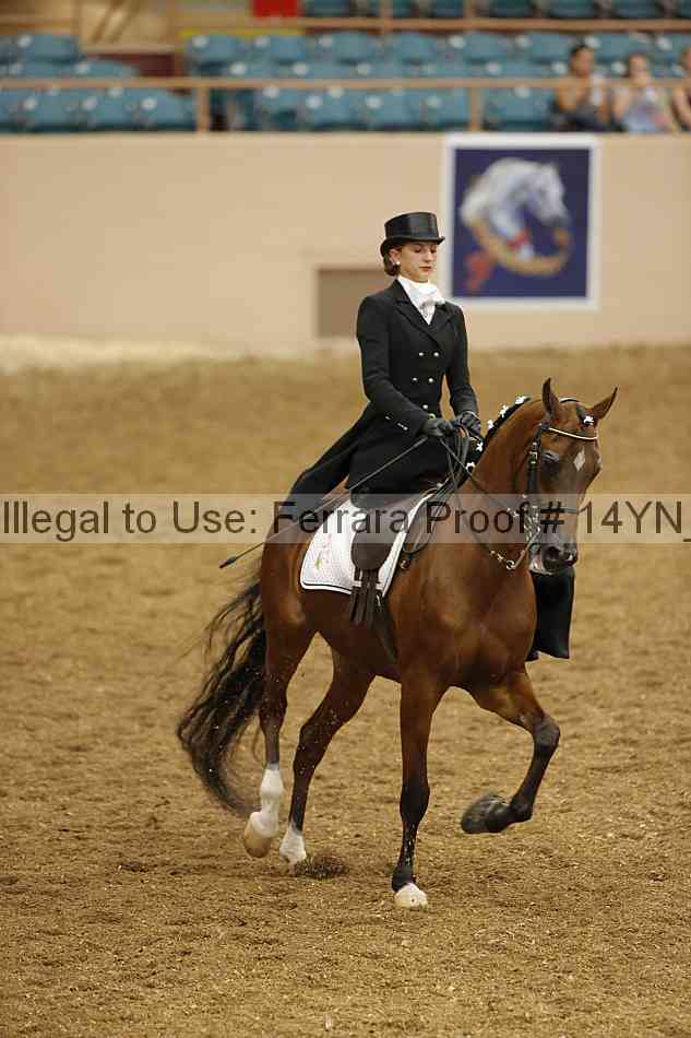 Proof 14yn_08747