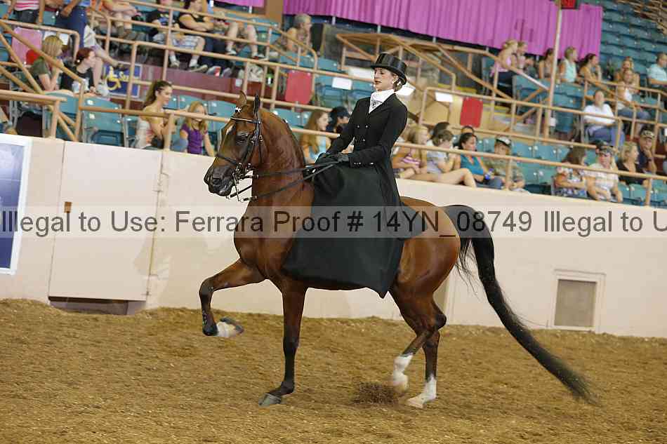 Proof 14yn_08749