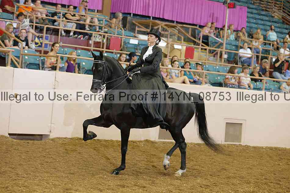 Proof 14yn_08753