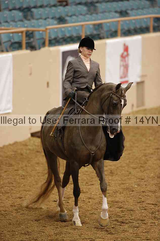 Proof 14yn_08754
