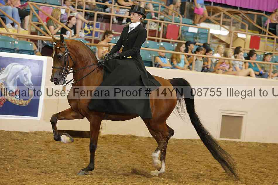 Proof 14yn_08755