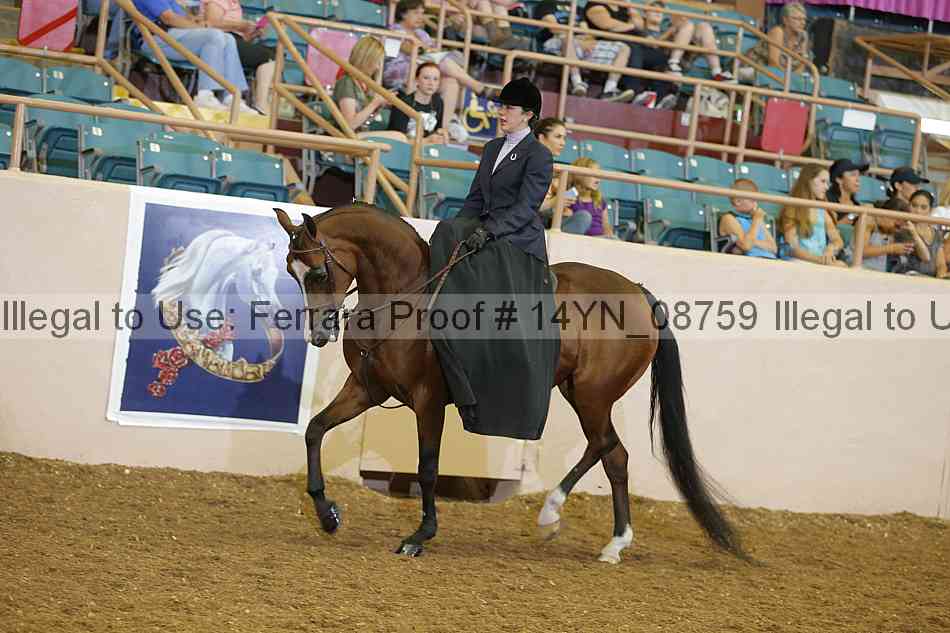 Proof 14yn_08759