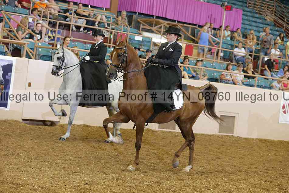 Proof 14yn_08760