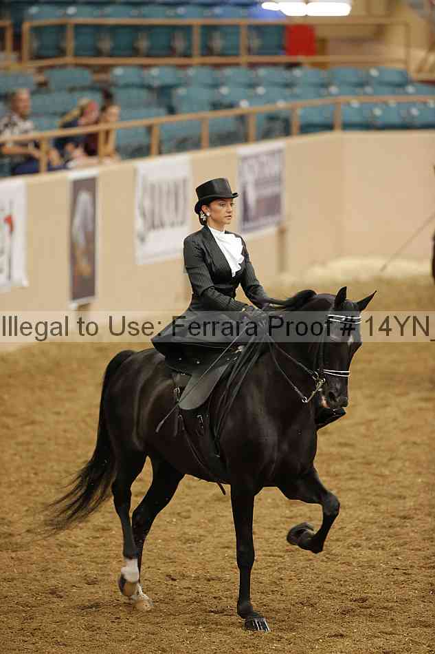 Proof 14yn_08764