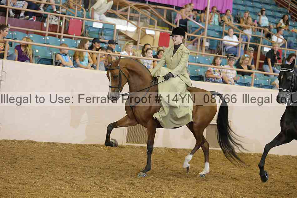 Proof 14yn_08766