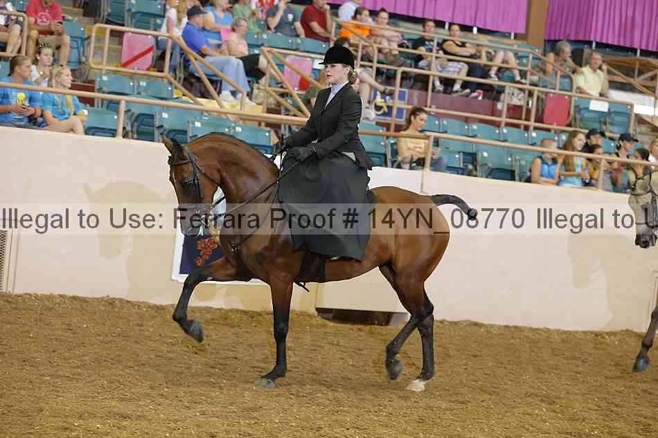Proof 14yn_08770